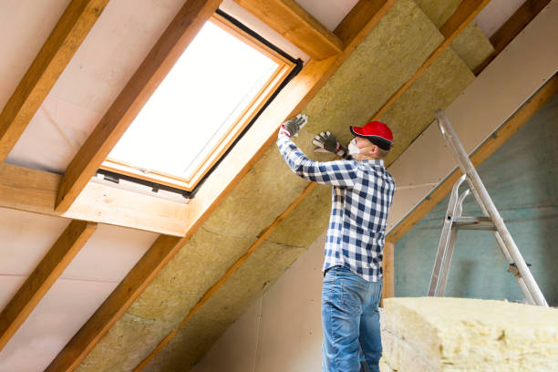 Best Attic Insulation Installation in Mack, OH